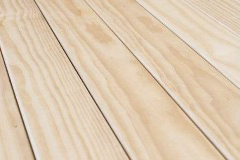Accoya